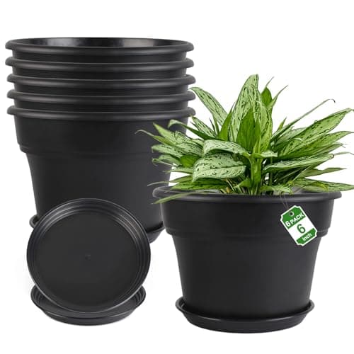 Myfeegoin 6-inch-Plant-Pots-Indoor-Outdoor, 6 Pack Plastic Planters with Drainage Holes & Saucers, Resin Flower Pots with Trays, Classic Garden Pot Container for House