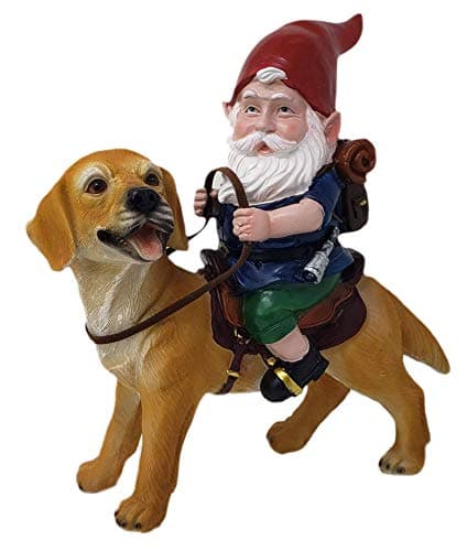 Funny Guy Mugs Gnome and a Yellow Lab Statue- Yellow Labrador Retriever- Indoor/Outdoor Garden Gnome Sculpture for Patio, Yard or Lawn