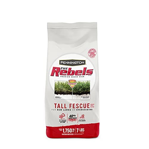 Pennington The Rebels Tall Fescue, Tall Fescue Grass Seeds for Lawn, 7 lb