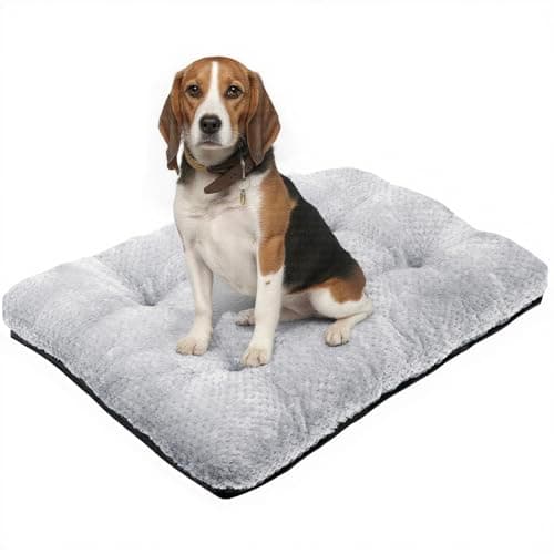 CLKHOWL Washable Dog Bed Plush Dog Crate Beds for Large, Medium, Small Size Dogs, Anti-Slip Soft Comfy Pet Kennel Pad, Fits Crate Mat and Cat Bed Mat (Grey, 31.49x21.65 inch)