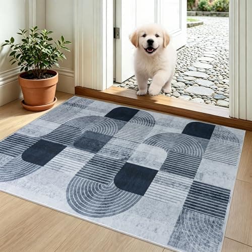 Ailyei Washable Modern Geometric Entryway Rug, Small Throw Rug Grey 2x3 ft