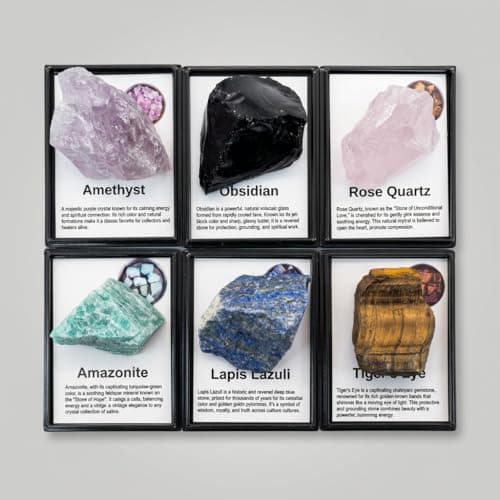 6 Pcs Natural Gemstone Specimens Set, Includes Tiger Eye, Amazonite, Lapis Lazuli, Amethyst, Rose Quartz & Obsidian, Comes with Acrylic Display Case with Removable Lid