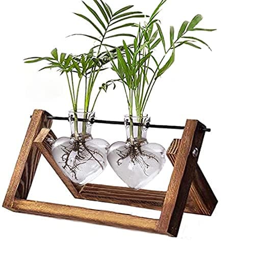 Kingbuy Glass Desktop Planter with Retro Wooden Stand and Plant Terrarium Vase (2 Hearts) for Indoor Home Office Desk Decor Accessories