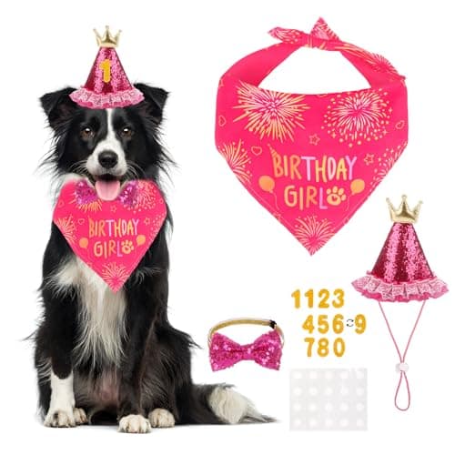 Legrape Medium Dog Birthday Bandana Set - Girl Dog Birthday Hat with Numbers Bandana and Bow Tie for Party Decorations Rose