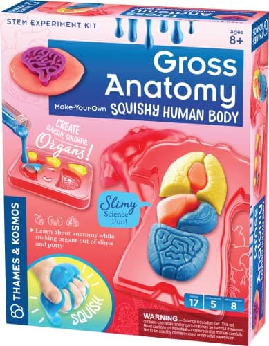 Thames & Kosmos Gross Anatomy: Make-Your-Own Squishy Human Body STEM Experiment Kit | Make Colorful Models of Human Organs with Slime & Putty | Fun, Tactile Intro to Human Anatomy | 5 Cool Activities