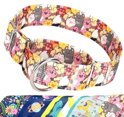 MAOWUWUJOZ Training 1.5 Inch Martingale Collar for Dogs Large Dogs-Paw L