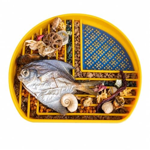 Snack Dish Slow Feeder Bowl for Dogs & Cats – Dual Pattern Design with Treat Corner, Mess-Free Feeding, Dishwasher Safe | Kubi Pets