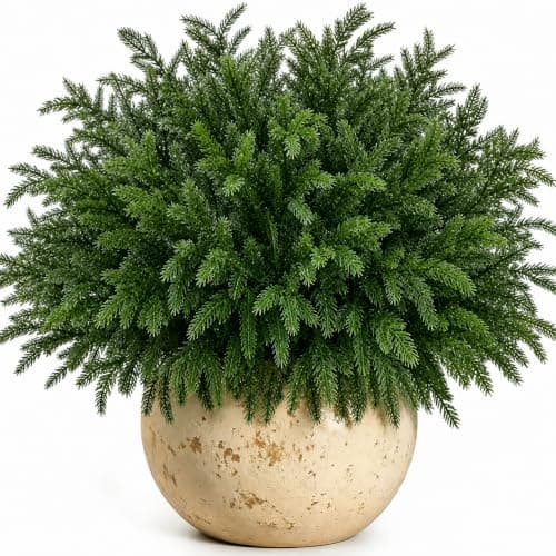 24 Bundles Artificial Norfolk Pine Stems, Real Touch Christmas Greenery