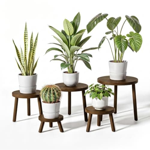 Delma Wood Plant Stands 5-Pack Indoor, Plant Stool, Dark Brown