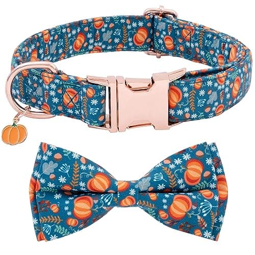 Faygarsle Fall Dog Collar with Bow Tie,Pumpkin, Small Medium Large Dogs S
