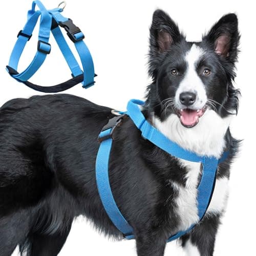 Galaxy Reflective Dog Harness,Adjustable 4-Point Fit,Anti-Pinch Buckles,Back-Clip Control & Emergency Handle,Velvet Lined for Small, Medium and Large Dogs, (Blue, M)