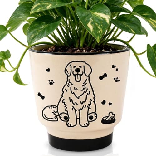 5 inch Plant Pots with Drainage Holes, Ceramic Planters for Indoor Plants