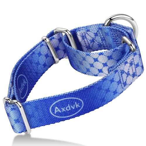 Axdvk Martingale Dog Collar Colorful Gradient Fashionable - Anti-Escape Soft Durable Pets Collar for Walking Training Outdoor Daily Use -Large,Blue Ocean
