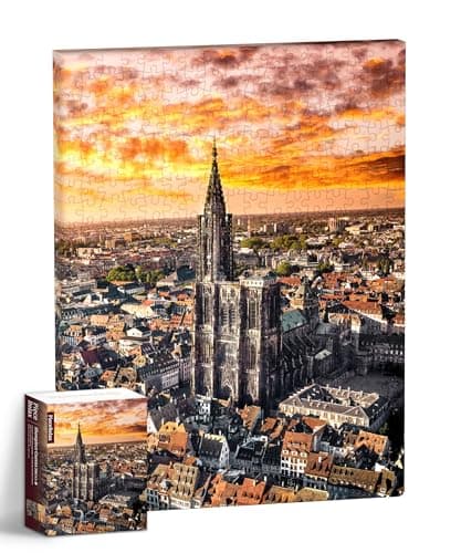 PieceRelax Puzzle Canvas Wall Art 366 Plastic Pieces for Adults - Henry Do - Aerial Photography - Strasbourg Cathedral, France - Unique Gift & Home Décor with Jigsaw Puzzle Artwork [HN1312]