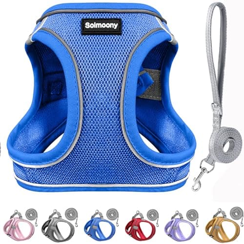 Solmoony Sparkly Medium Dog Harness and Leash Set, Step in Soft Light Puppy Vest, Breathable Reflective Pet Harness for Walking, Puppy Harness for Medium Dogs Cats (Blue, L)