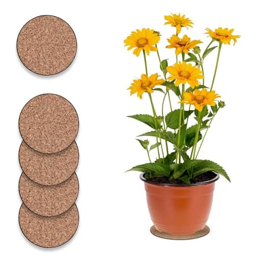 Curtis Wagner Plastics Corp. MC-600 Cork Plant Mat (6" Diameter, 5-Pack) - Round Cork Plant Coasters - Use as Planter, Coaster or Pads for Your Arts & Crafts Projects