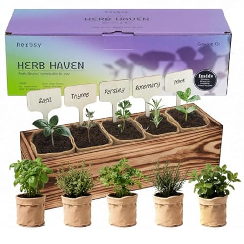 5 Herb Garden Kit with Wooden Box - Including Basil, Thyme, Parsley, Rosemary, Mint - Windowsill Herb Garden for Kitchen, Gardening Gifts for Mom Women, Men, Gift Ideas for Birthday, Housewarming