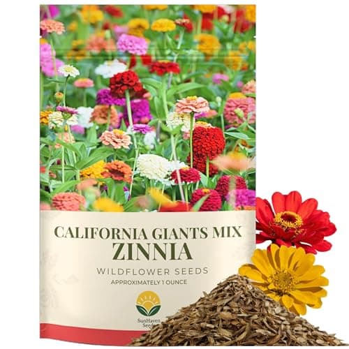 SunHaven Seeds Zinnia Seeds – California Giants Mix – 4,000+ Seeds – 1 oz Bulk Extra Large Resealable Packet – Premium Heirloom Zinnia elegans Seeds with Giant Blooms in Vibrant Colors
