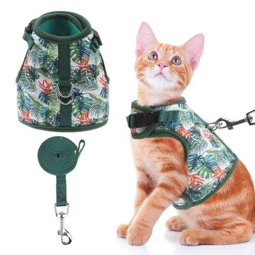 BINGPET Cat Harness and Leash Set, Escape Proof and Adjustable, Large