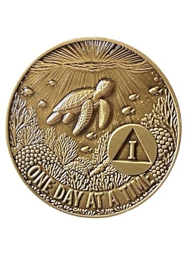 RecoveryChip Sea Turtle 1 Year AA Medallion - One Day At A Time Bronze Sobriety Chip with Serenity Prayer - Meaningful 1st Year Recovery Anniversary Gift for Alcoholics Anonymous
