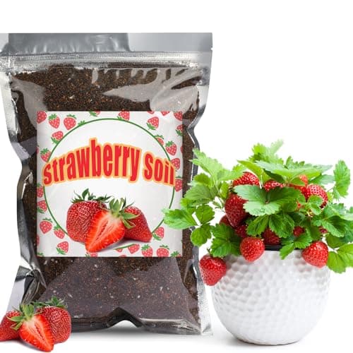 Doter Organic Strawberry Soil Mix 1qt, Indoor Plants Potting Mix for All Potted Strawberry, Grow Healthy houseplants Indoors
