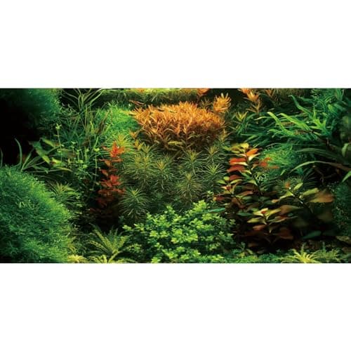 36x24 in Seagrass Aquarium Backdrop Aquatic Plant Fish Tank Background
