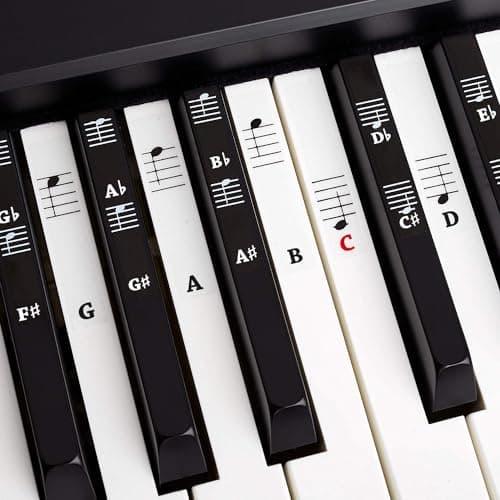 BELFORT Piano Keyboard Stickers - 49/61/76/88 Keys, CDEFGAB Notes