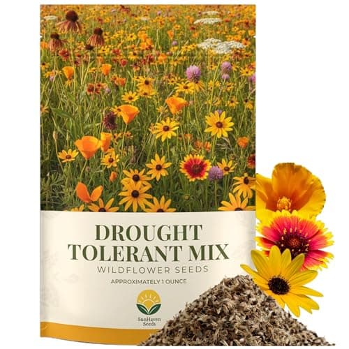 SunHaven Seeds Drought Tolerant Wildflower Mix – 20,000+ Seeds – 1 oz Bulk Extra Large Resealable Packet – Non-GMO Flower Seeds for Dry Climates – Black-Eyed Susan, Coreopsis, California Poppy & More