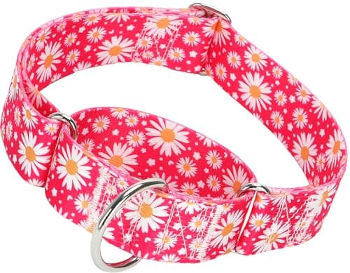 Martingale Dog Collar for Large Breed Heavy Duty Grade Nylon Dog Collars