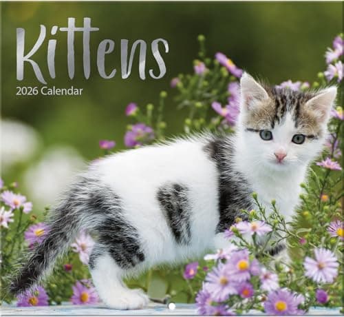 Kittens 2026 Full Size Wall Calendar for Planning, Scheduling, and Organizing