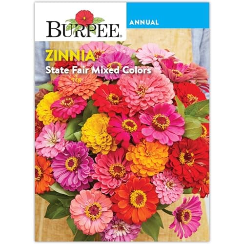 Burpee 'State Fair Mixed Colors' Zinnia Flower Seeds - 650mg Seed Packet for Home Gardening - Heirloom, Mildew Resistant, Annual Cut Flower, Vibrant Mixed Colors, Pollinator Friendly