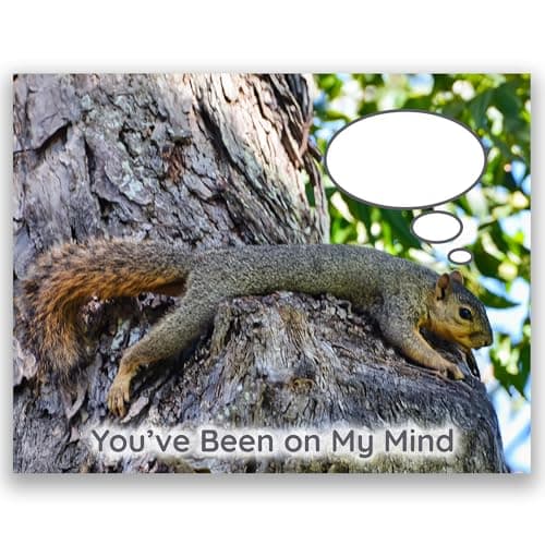 Moving Truths You’ve Been on My Mind – Squirrel Thinking of You, Friendship, Romance, or Encouragement Card for Men or Women | Blank Inside
