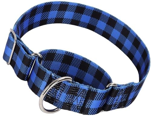 1.5 Inches Martingale Collar for Dogs,Dog Collar for Medium Large Dogs