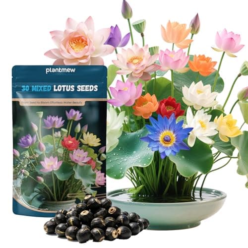 Lotus Seeds for Planting in Water – 30 PCS Mixed Bowl Lotus Seeds, Water Lily & Water Plants for Ponds, Live Pond Plants for Outdoor Ponds, Floating Pond Plants – Indoor Bonsai, Garden, Koi Pond