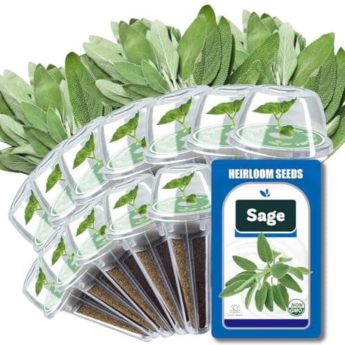 Sage Seed Pods for All Hydroponics Growing Systems, 12 Pods Herb Kit with 200+ Seeds of Sage, Grow Your Own Herb Garden at Home