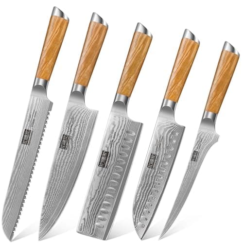 HOSHANHO Professional Damascus Ultra Sharp Fillet & Chef & Santoku & Nakiri Knife & Bread Knife