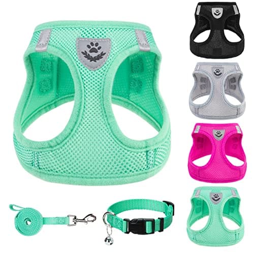 PUPTECK Adjustable Dog Harness Collar and Leash Set Step in No Pull Pet Harness for Small Medium Dogs Puppy and Cats Outdoor Walking Running, Soft Mesh Padded Reflective Vest Harnesses, Solid Green XS