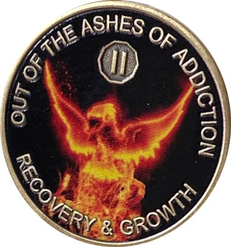 RecoveryChip 2 Year Color Out of The Ashes of Addiction Phoenix Flames Sobriety Chip AA NA Medallion