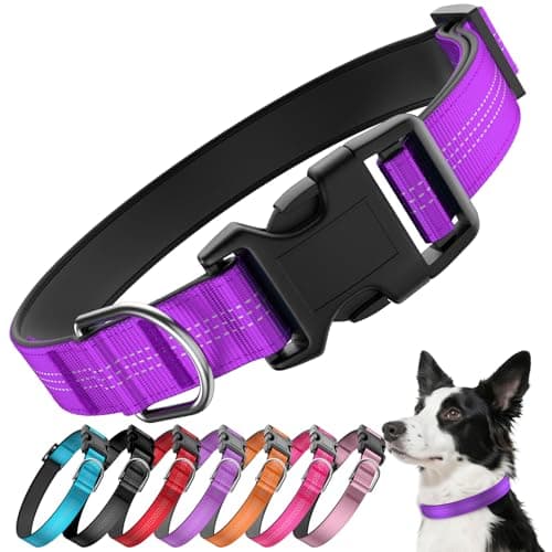Reflective Dog Collar with Buckle, Heavy Duty Dog Collars with Soft Padded, Adjustable, Ultra-Durable, Pet Collar for Small Medium and Large Dogs (Purple, L)