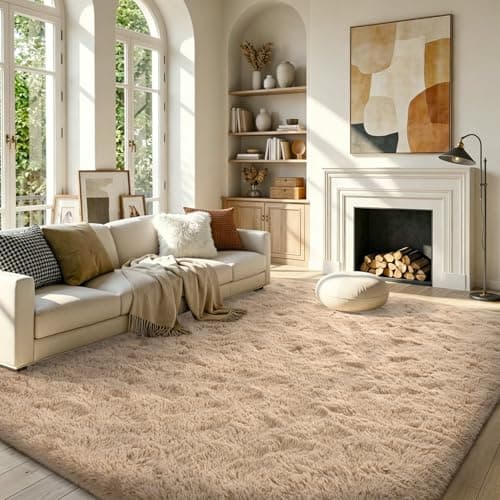 3x5 Non-Slip Fluffy Area Rugs for Entryway (Light Tan)