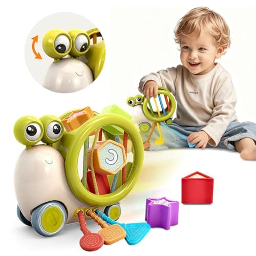 BYFWH Shape Sorter Toys for Toddlers 1-3, Montessori Learning Sets