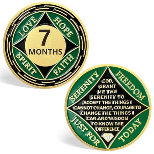 7 Month NA Medallions, Green 7 Months NA Coin Just for Today Sobriety Chips