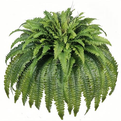 Artificial Ferns for Outdoors & Indoors, 50" Large Fake Ferns w/ Fruitlet,