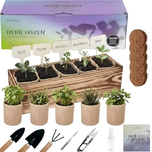 5 Herb Garden Kit with Wooden Box - Including Basil, Thyme, Parsley, Rosemary, Mint - Windowsill Herb Garden for Kitchen, Gardening Gifts for Mom Women, Men, Gift Ideas for Birthday, Housewarming