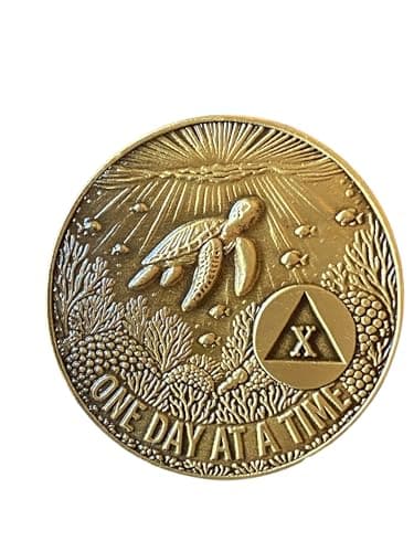 RecoveryChip Sea Turtle 10 Year AA Medallion - One Day At A Time Sobriety Chip - Alcoholics Anonymous 10 Year Anniversary Recovery Coin with Serenity Prayer Gift for Men & Women