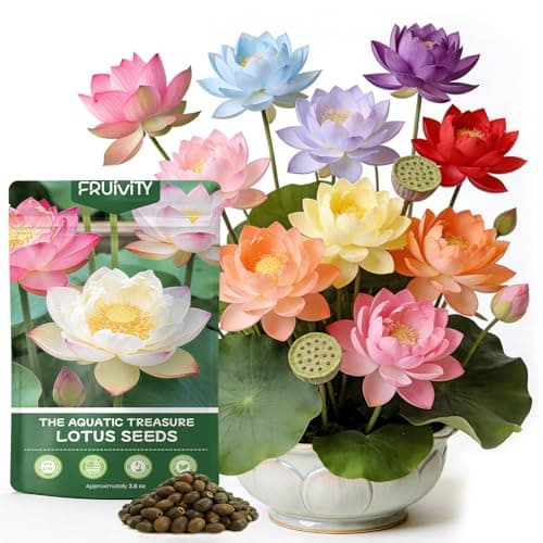 60 PCS Lotus Seeds for Planting in Water - Mixed Color Bowl Lotus Seeds, Live Pond Plant Water Lily Seeds for Indoor Bonsai, Outdoor Ponds & Garden, Koi Pond Gift for Mother, Women, Mom, Friend, Her