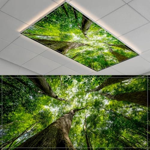 2 Pack Fluorescent Light Covers- 4 x 2 Feet Magnetic Ceiling Light Cover Room Supplies (Color 13)