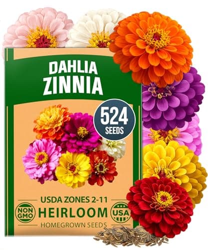 HOME GROWN Zinnia Dahlia Seeds Pack for 2026 Non GMO 524 Flower Seeds | Vibrant Zinnia Elegans for Pollinator Gardens, Borders & Containers | Easy-to-Grow Outdoor Blooms