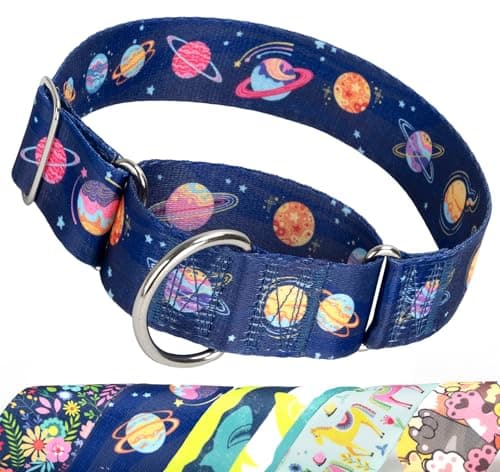 Thick Martingale Collar for Medium Dogs,Blue Space No Pull Dog Collar M