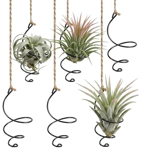 Thrymme 6 Pcs Air Plant Hanger, Airplant Plant Holder Set with Jute Rope - Black Iron Hanging Display for Tillandsia, Home & Office Decor